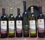 Urosevic 4