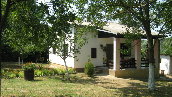 Skelica 1