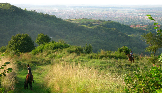 Aktivna Fruska 9
